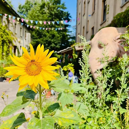 Bed & Breakfast Muehle Himmelpfort