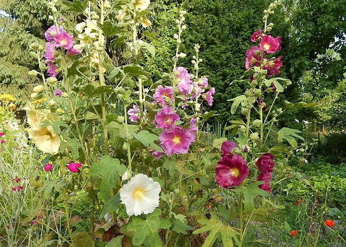 Bed & Breakfast Muehle